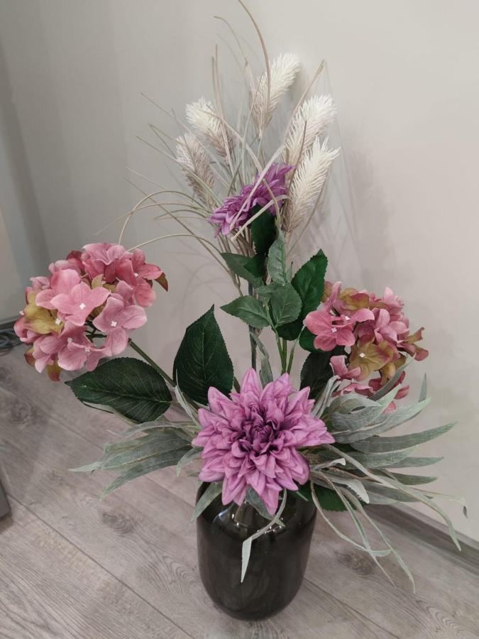 Flowers Apartment Dobrich Exterior photo